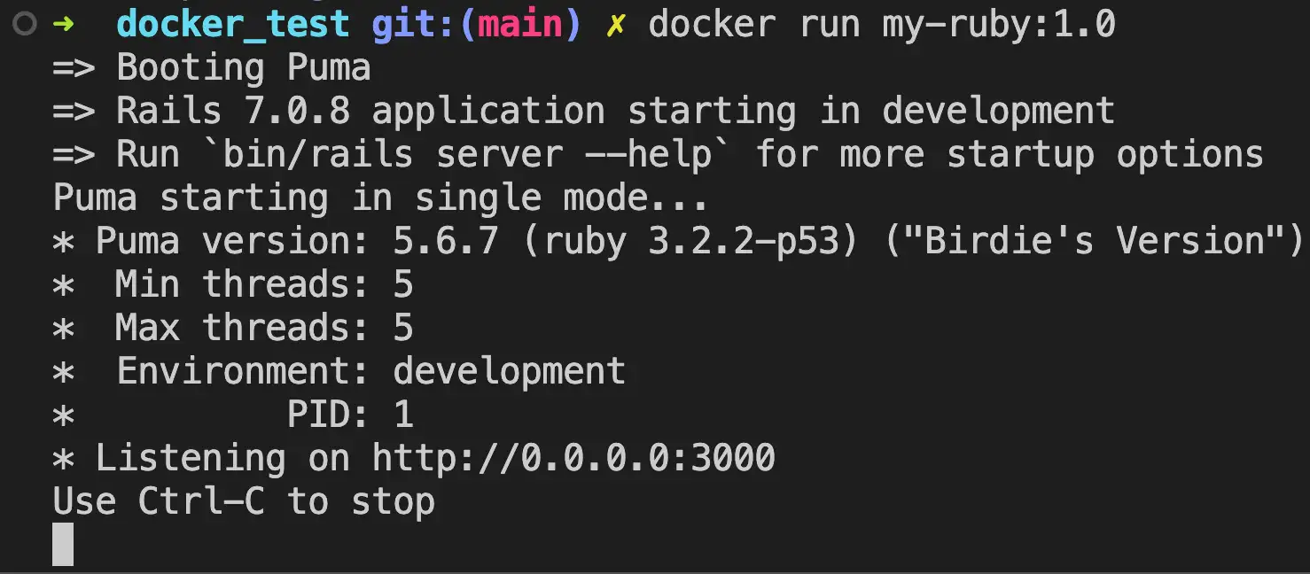 docker run