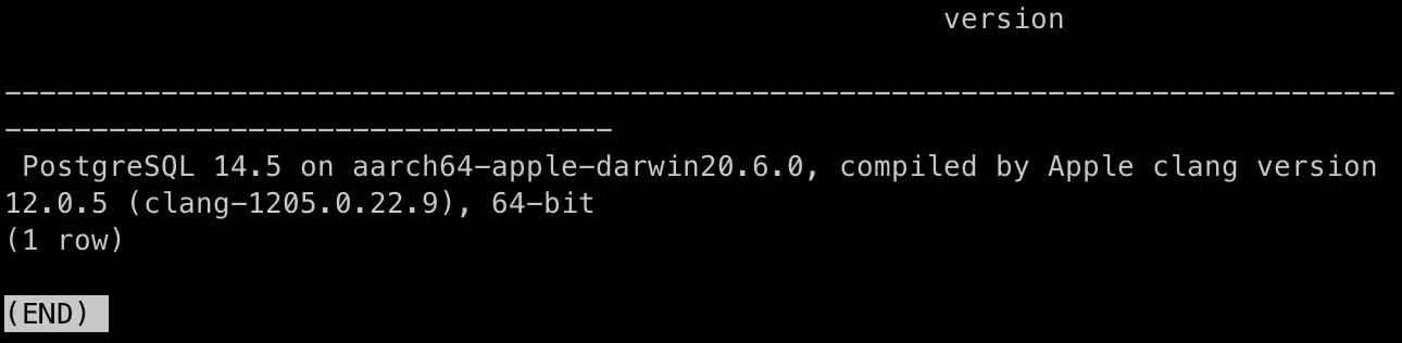 psql 詳細訊息