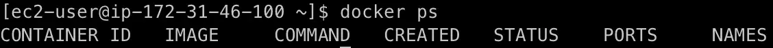 確認 Docker 服務是否啟動