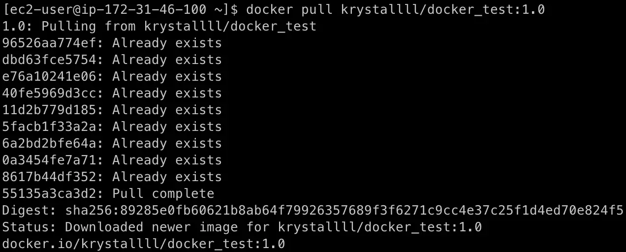 pull 新的 image