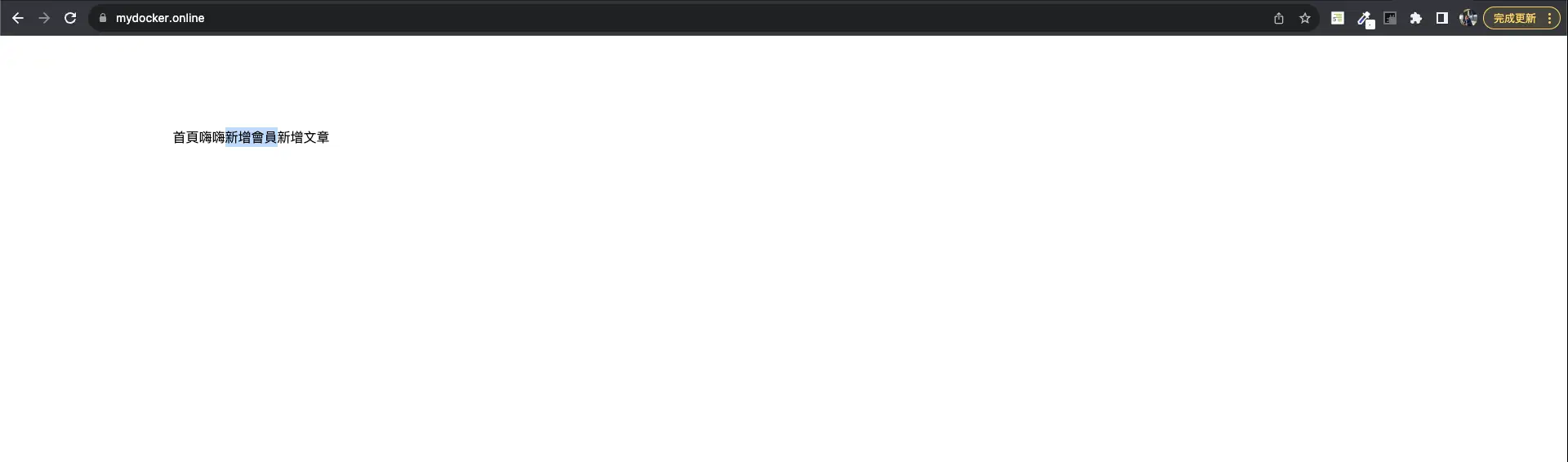 成功在 mydocker.online 看到專案