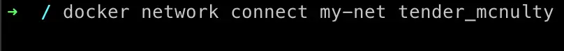 連接 Network 與 Container